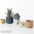 Nordic Style | Cement Flower Pot Nordic Style Minimalist Creative Bonsai Greenery Green Dill Flowerpot round Fashion