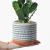 Nordic Cement Flower Pot Ceramic Machine Carving Fashion Simple Artistic Personality Retro Indoor Rose Green Radish Bonsai Succulent