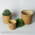 Cement Flower Pot Nordic Style Simple Creative Personality Large Diameter Green Plant Pot Succulent Rattan