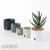 Nordic Style | Cement Flower Pot Nordic Style Minimalist Creative Bonsai Greenery Green Dill Flowerpot round Fashion