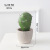 INS Simulation Cactus Pot Decoration Resin Cactus Artifical Cereus Decorative Succulent Simulation Plant Decorations Bonsai