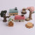 Zakka Groceries Mini Micro Landscape Mini Resin Ornament Creative Cute Painted Small House Decorations Gift