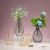 Nordic Ins Wrought Iron Geometric Transparent Glass Decorative Vase Home Desktop Dried Flower Plant Flower Arrangement Vase Ornaments