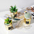 INS Nordic Style Simulation Cactus Pot Decoration Show Window Decoration Cactus Succulent Plant Golden Small Pot Plant