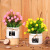 INS Nordic Fresh Artificial Flower Living Room Desktop Greenery Decoration Home Decoration Flower Bonsai Fake Flower Potted Plant