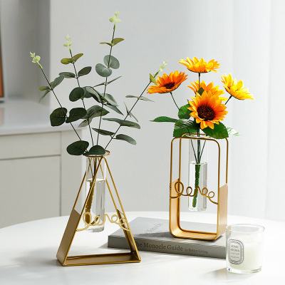 Nordic Creative Simple Hydroponic Vase Decoration Ins Style Living Room Fake Flower Flower Container Bedroom Dining Table Decoration Wholesale