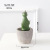 INS Simulation Cactus Pot Decoration Resin Cactus Artifical Cereus Decorative Succulent Simulation Plant Decorations Bonsai