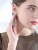 High-Grade Earrings for Women 2022 New Fashion Ear Hook Temperament Personalized European and American Style Earrings
