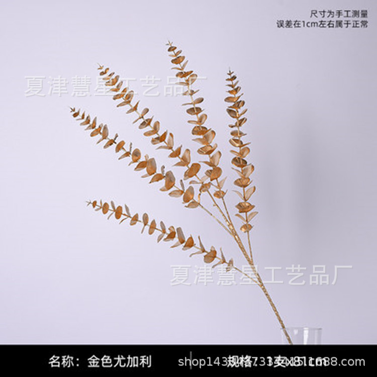 Product Image Gallery