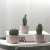 INS Simulation Cactus Pot Decoration Resin Cactus Artifical Cereus Decorative Succulent Simulation Plant Decorations Bonsai