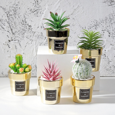 INS Nordic Style Simulation Cactus Pot Decoration Show Window Decoration Cactus Succulent Plant Golden Small Pot Plant