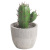 INS Simulation Cactus Pot Decoration Resin Cactus Artifical Cereus Decorative Succulent Simulation Plant Decorations Bonsai