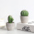 INS Simulation Cactus Pot Decoration Resin Cactus Artifical Cereus Decorative Succulent Simulation Plant Decorations Bonsai