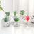 European Ins Mini Glass Basin Succulent Plants Pot Decoration Bonsai Desktop Interior Decoration Emulational Flower Decoration