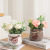 European Style Fresh Pastoral Emulational Flower and Silk Flower Ceramic Potted Plant Living Room Table Decorative Simulation Plant Small Bonsai