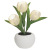 INS Simulation Tulip Led Pot Decoration Creative Living Room Hallway Home Artificial Flower Fake Flower Pot Small Bonsai