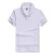 Lapel T-shirt Enviromental Protection Cotton Polo Shirt Custom Logo Culture Advertising Shirt Short Sleeve Custom Work Clothes Factory Direct Sales