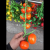 2022 New Artificial Flower Pendant New Year Goods Decoration 30 Styles Fruit Pendant Stall Market Supermarket Wholesale