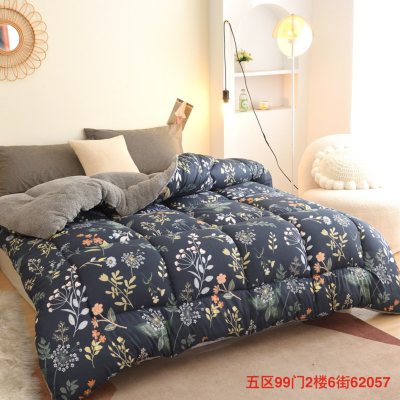 Flannel Lambswool Milk Fiber Winter Thickened, Sanded Fabric Duvet Insert Double Duvet Foreign Trade Popular Style Factory Direct Sales