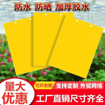 Double-Sided Sticky Card Insect Trap Board Yellow Board Blue Board Factory Wholesale Greenhouse Tea Garden Orchard Greenhouse Gardening Insect-Pasting Insect-Proof