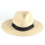 New Summer Men's and Women's Neutral Sun-Proof Straw Hat Fashion Sun-Proof UV-Proof Straw Hat Panama Hat Wholesale