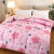 Wholesale Airable Cover Quilt for Spring and Autumn Quilt Winter Quilt Gift Quilt Inner Summer Blanket Single Double Student Quilt Dormitory