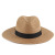 New Summer Men's and Women's Neutral Sun-Proof Straw Hat Fashion Sun-Proof UV-Proof Straw Hat Panama Hat Wholesale