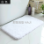 Exclusive for Cross-Border Bathroom Non-Slip Floor Mat High Velvet High Density Absorbent Floor Mat Home Entrance Living Room Long Rug