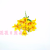 Artificial/Fake Flower Bonsai Vase Single 5 Forks Lily Daily Decoration Ornaments