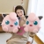 Plush Toys Source Factory Wholesale Novelty Toys Pang Ding Plush Doll Birthday Gift Ragdoll