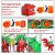 Amazon Red Riding Tyrannosaurus Rex Inflatable Garment Children and Adults Can Ride Tyrannosaurus Riding Inflatable Clothing