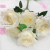 Nordic Fresh Moist Feeling Rose Bouquet Simple Living Room and Dining Table Decoration Decoration Wedding Flower Bouquet Snow Mountain Rose