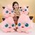 Plush Toys Source Factory Wholesale Novelty Toys Pang Ding Plush Doll Birthday Gift Ragdoll