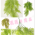 Artificial/Fake Flower Bonsai Greenery Wall Hanging Leaves Daily Decorations