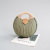Straw Shell Handmade Women's Woven Bag round Clutch Candy Color Inner Pocket Buckle Design Women's Bag