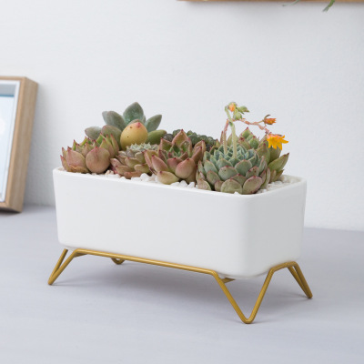 Simple Nordic Creative Rectangle Succulent Flower Pot Ceramic Iron Four-Legged Base Iron Frame Combination Set