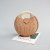 Straw Shell Handmade Women's Woven Bag round Clutch Candy Color Inner Pocket Buckle Design Women's Bag