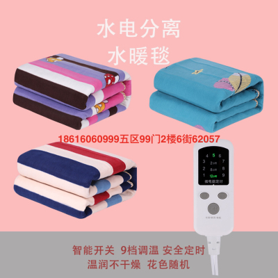 Printing Electric Blanket Smart Double Double Control Damp Removal Electric Blanket European Standard European Middle East Arab Foreign Trade Dedicated