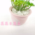 Artificial/Fake Flower Bonsai Ceramic Basin Iron Frame Variety Succulent Decoration Ornaments