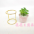 Artificial/Fake Flower Bonsai Ceramic Basin Iron Frame Variety Succulent Decoration Ornaments