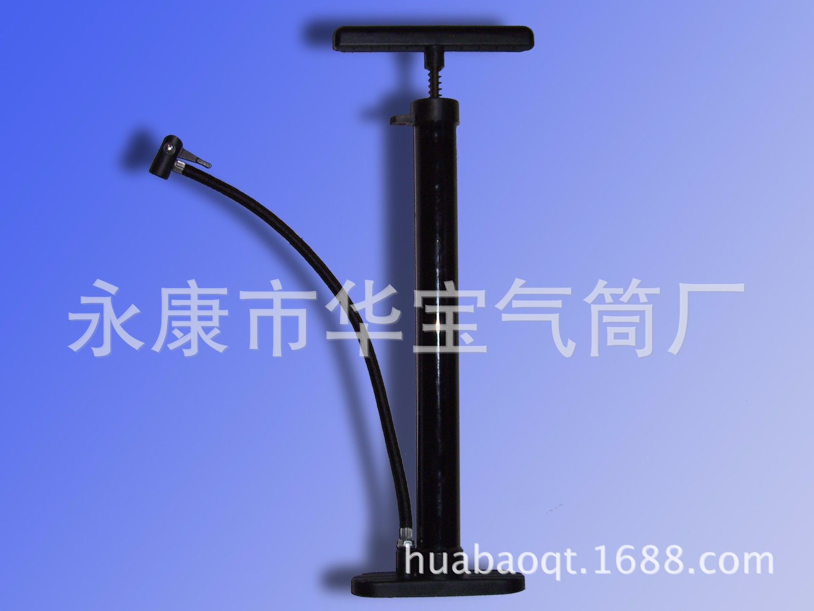 Product Image Gallery