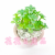 Artificial/Fake Flower Bonsai Ceramic Basin Iron Frame Variety Succulent Decoration Ornaments