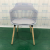 Plastic Chair Home Celebrity Dining Chair Simple Modern Nordic Milk Tea Shop Solid Wood Leg Chair Backrest Leisure Chair