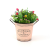 Cross-Border Hot Selling Candy Color Printed Loge Iron Bucket Succulent Potted Flower Iron Bucket Simulation Plant Metal Flower Pot