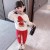 Boys and Girls Spring and Autumn Sweater Suit Medium and Big Children New Printing Sports Pure Cotton Two-Piece Set Children Fashionable Children's Clothing