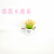 Artificial/Fake Flower Bonsai Anti-Ceramic Basin Plastic Basin Wheat Decorative Daily Use Ornaments