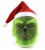 Christmas Green Fur Monster Mask Party Dr. Seuss' How the Grinch Stole Christmas Grinch Gloves God Steal Green Fur Monster Grinch Mask