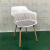 Plastic Chair Home Celebrity Dining Chair Simple Modern Nordic Milk Tea Shop Solid Wood Leg Chair Backrest Leisure Chair