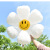 Wholesale Large Thick White Birthday Atmosphere Arrangement Balloon Daisy SUNFLOWER Shape Aluminum Film Balloon