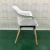 Plastic Chair Home Celebrity Dining Chair Simple Modern Nordic Milk Tea Shop Solid Wood Leg Chair Backrest Leisure Chair